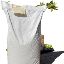 Carica l'immagine nel visualizzatore di Gallery, Lettiera tutolo di mais Sanipet