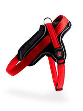 Carica l'immagine nel visualizzatore di Gallery, Pettorina Memopet - ID&M