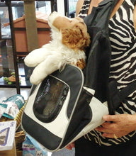 Carica l'immagine nel visualizzatore di Gallery, Borsa Frontale Trixie