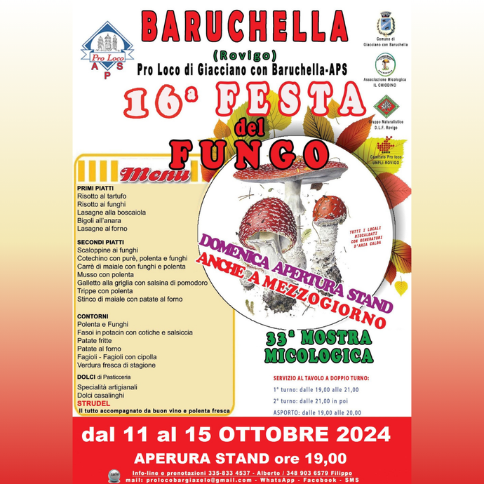 16^ Festa del Fungo - Giacciano con Baruchella