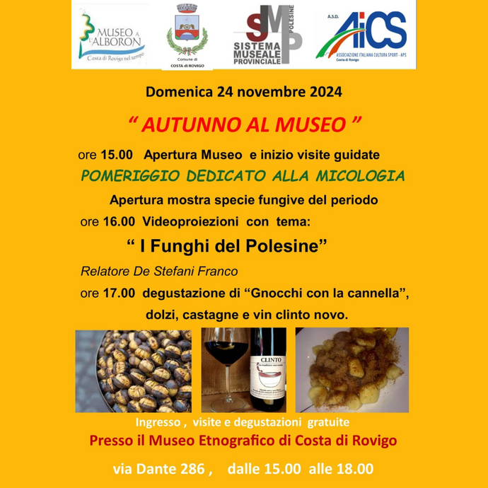 AUTUNNO AL MUSEO - Costa di Rovigo