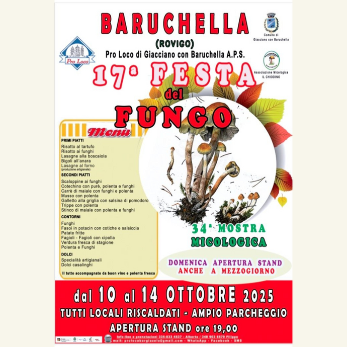 17esima Festa del Fungo - Giacciano con Baruchella