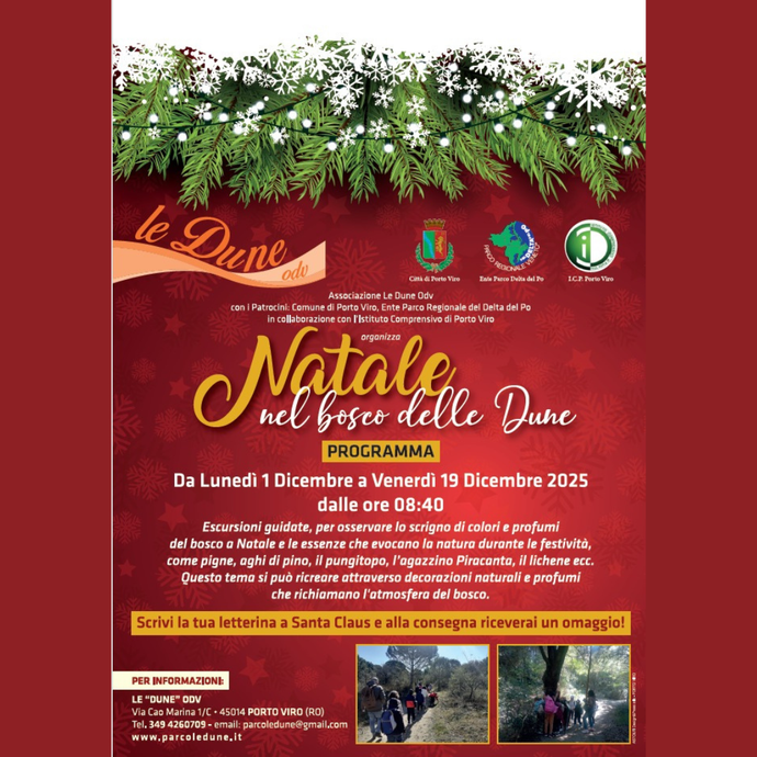 Natale nel bosco delle dune - Porto Viro