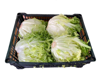 Insalata riccia e scarola - ID&M