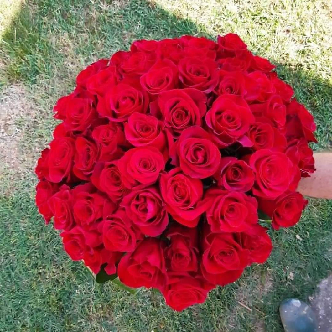 Bouquet di 60 rose rosse lunghe - Le Botteghe del Polesine
