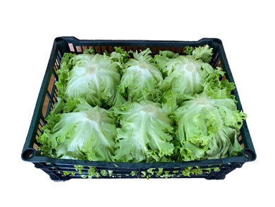 Insalata gentile - ID&M