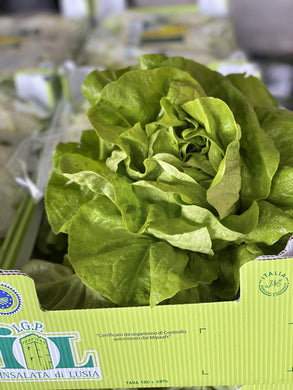 Insalata di Lusia IGP - Le Botteghe del Polesine