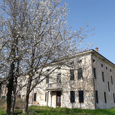 Villa Veneta - ID&M